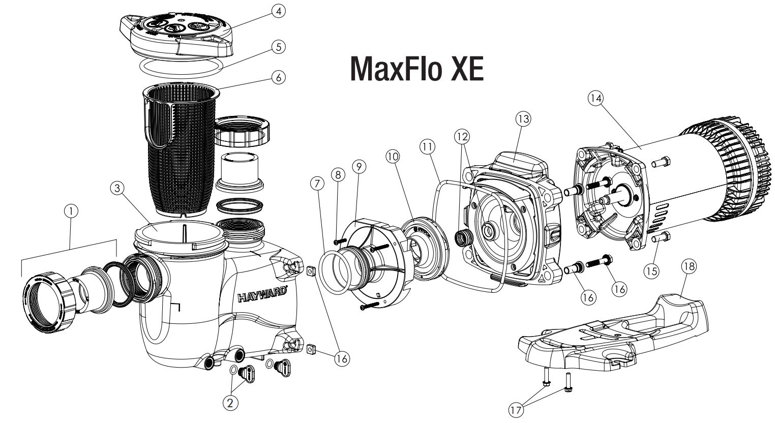 POOL360 MaxFlo® XE 1.65 Total HP (Expert Line)