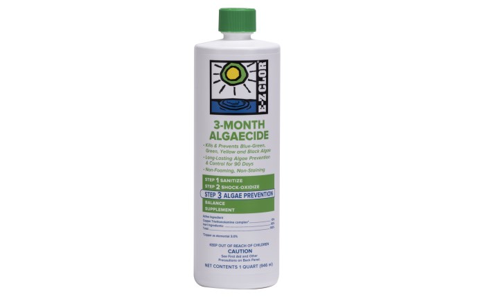 POOL360 | 1 Qt 90 Day Algaecide