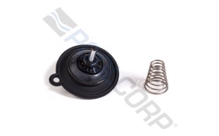 Kit Riparazione Valvola Irrigazione Rain Bird 208143 - Gruppo Membrana E Schermo Per Valvole PEB 1 Pollice